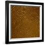 Human Fingertip-null-Framed Photographic Print