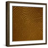 Human Fingertip-null-Framed Photographic Print