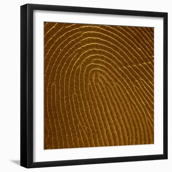 Human Fingertip-null-Framed Photographic Print