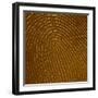 Human Fingertip-null-Framed Photographic Print