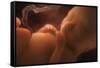 Human Foetus In the Womb, Artwork-Jellyfish Pictures-Framed Stretched Canvas