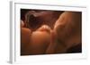 Human Foetus In the Womb, Artwork-Jellyfish Pictures-Framed Premium Photographic Print