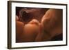 Human Foetus In the Womb, Artwork-Jellyfish Pictures-Framed Premium Photographic Print