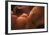 Human Foetus In the Womb, Artwork-Jellyfish Pictures-Framed Premium Photographic Print