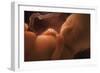 Human Foetus In the Womb, Artwork-Jellyfish Pictures-Framed Photographic Print