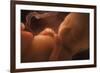 Human Foetus In the Womb, Artwork-Jellyfish Pictures-Framed Photographic Print