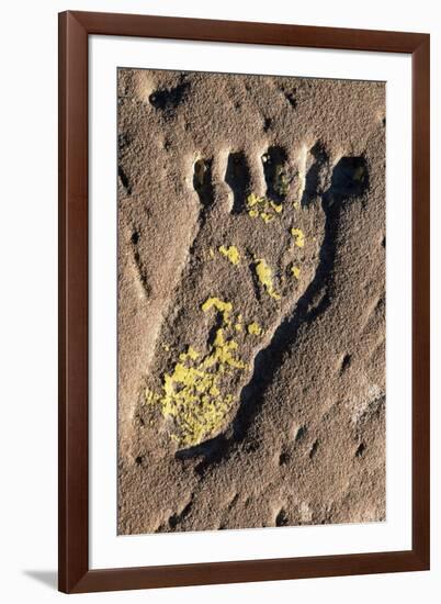 Human Footprint-null-Framed Giclee Print