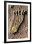 Human Footprint-null-Framed Giclee Print