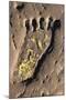 Human Footprint-null-Mounted Giclee Print