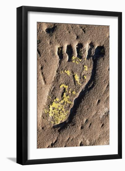 Human Footprint-null-Framed Giclee Print