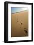 Human footprints in the sand, Sandymouth bay, Cornwall, UK-Ross Hoddinott-Framed Photographic Print