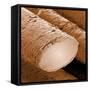 Human Hair Magnified 1250x-null-Framed Stretched Canvas