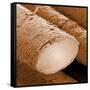 Human Hair Magnified 1250x-null-Framed Stretched Canvas