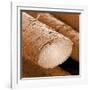 Human Hair Magnified 1250x-null-Framed Photographic Print