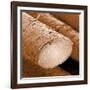 Human Hair Magnified 1250x-null-Framed Photographic Print