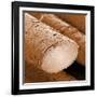 Human Hair Magnified 1250x-null-Framed Photographic Print