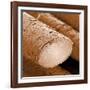 Human Hair Magnified 1250x-null-Framed Photographic Print