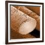 Human Hair Magnified 1250x-null-Framed Photographic Print