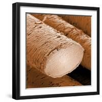 Human Hair Magnified 1250x-null-Framed Photographic Print