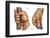 Human Hand Grips. Evolution-Encyclopaedia Britannica-Framed Poster