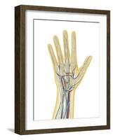 Human Hand with Nervous System, Lymphatic System and Circulatory System-Stocktrek Images-Framed Art Print