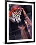 Human Hands with a Basketball Hoop-null-Framed Premium Photographic Print