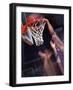 Human Hands with a Basketball Hoop-null-Framed Photographic Print