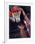 Human Hands with a Basketball Hoop-null-Framed Photographic Print