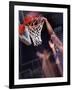 Human Hands with a Basketball Hoop-null-Framed Photographic Print