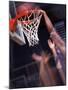 Human Hands with a Basketball Hoop-null-Mounted Photographic Print