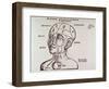 Human Head Mapping Sections of the Brain to Corresponding Body Parts, 1513-null-Framed Art Print