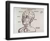 Human Head Mapping Sections of the Brain to Corresponding Body Parts, 1513-null-Framed Art Print