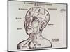 Human Head Mapping Sections of the Brain to Corresponding Body Parts, 1513-null-Mounted Art Print