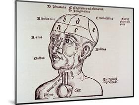 Human Head Mapping Sections of the Brain to Corresponding Body Parts, 1513-null-Mounted Art Print