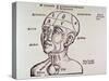 Human Head Mapping Sections of the Brain to Corresponding Body Parts, 1513-null-Stretched Canvas