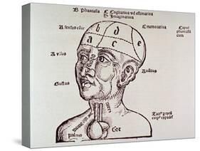 Human Head Mapping Sections of the Brain to Corresponding Body Parts, 1513-null-Stretched Canvas