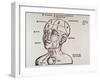 Human Head Mapping Sections of the Brain to Corresponding Body Parts, 1513-null-Framed Art Print