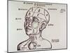 Human Head Mapping Sections of the Brain to Corresponding Body Parts, 1513-null-Mounted Art Print