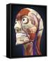 Human Head with Bone, Muscles and Circulatory System-Stocktrek Images-Framed Stretched Canvas