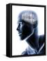 Human Head with EEG Brainwaves-null-Framed Stretched Canvas