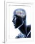 Human Head with EEG Brainwaves-null-Framed Photographic Print