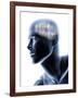 Human Head with EEG Brainwaves-null-Framed Photographic Print
