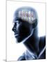 Human Head with EEG Brainwaves-null-Mounted Photographic Print