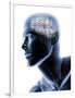 Human Head with EEG Brainwaves-null-Framed Photographic Print