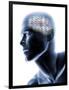 Human Head with EEG Brainwaves-null-Framed Photographic Print