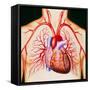 Human Heart, Artwork-John Bavosi-Framed Stretched Canvas