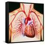 Human Heart, Artwork-John Bavosi-Framed Stretched Canvas
