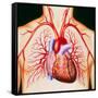 Human Heart, Artwork-John Bavosi-Framed Stretched Canvas