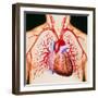 Human Heart, Artwork-John Bavosi-Framed Premium Photographic Print