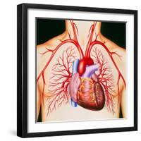 Human Heart, Artwork-John Bavosi-Framed Premium Photographic Print